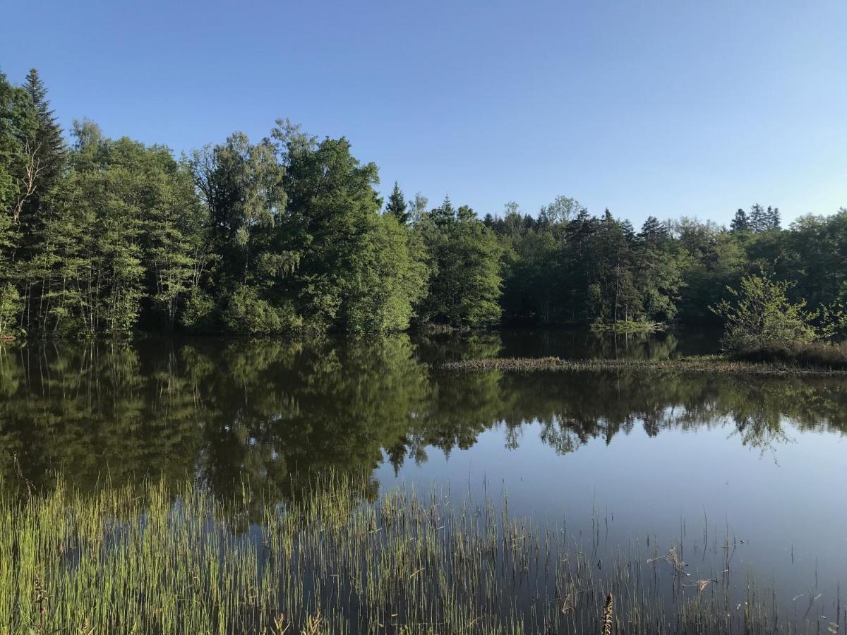 Gite Des Prary Des Mille Etangs Ternuay-Melay-et-Saint-Hilaire Екстериор снимка