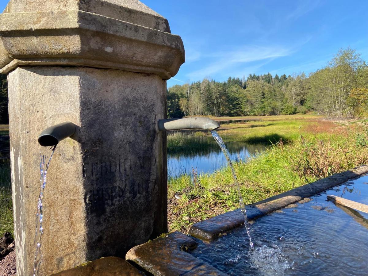 Gite Des Prary Des Mille Etangs Ternuay-Melay-et-Saint-Hilaire Екстериор снимка