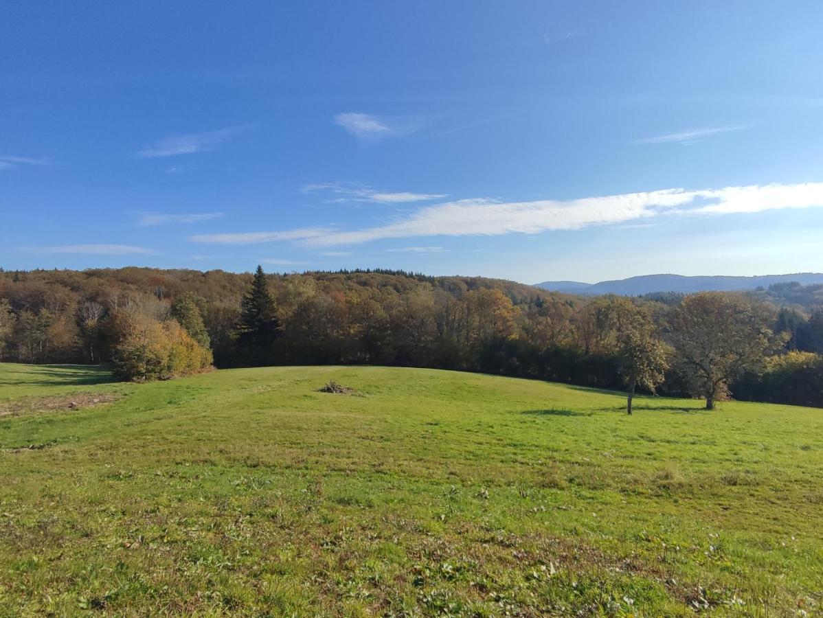 Gite Des Prary Des Mille Etangs Ternuay-Melay-et-Saint-Hilaire Екстериор снимка